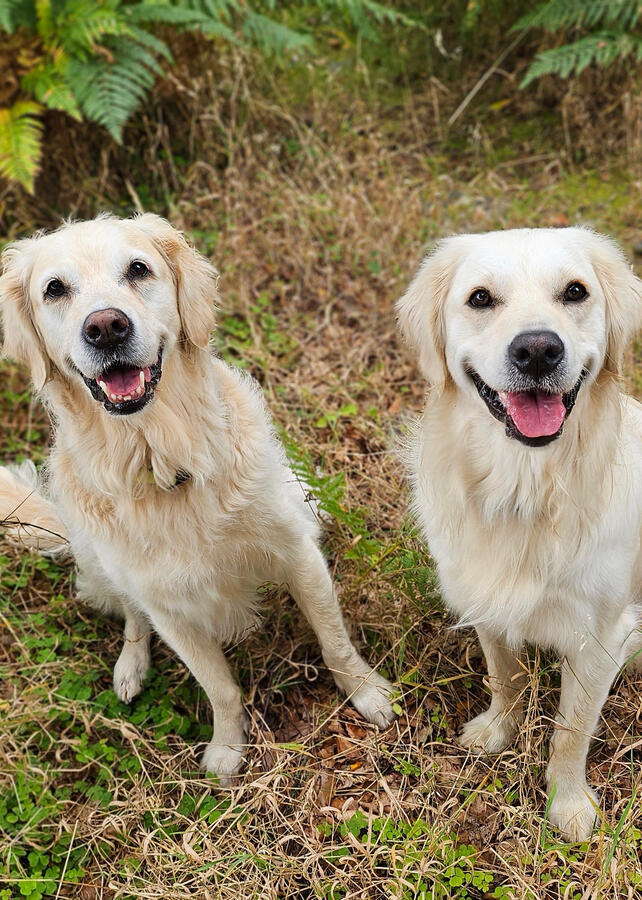 Skye & Abbie (Aberdeen, Scotland)