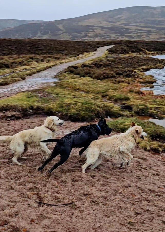 Skye, Louis &amp; Abbie (Loch Muick, Scotland)